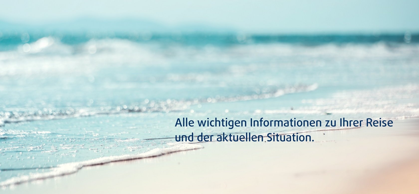 No description provided