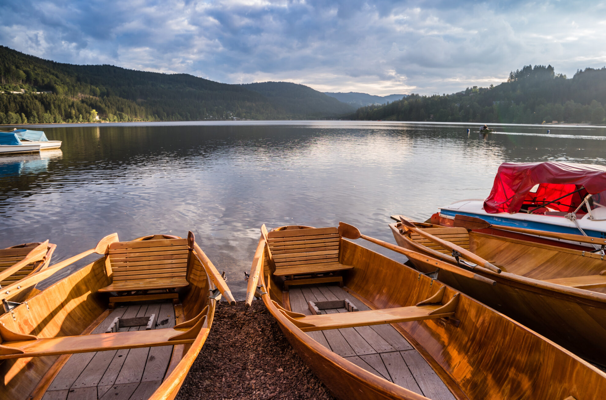 ©Animaflora-PicsStock-stock.adobe.com