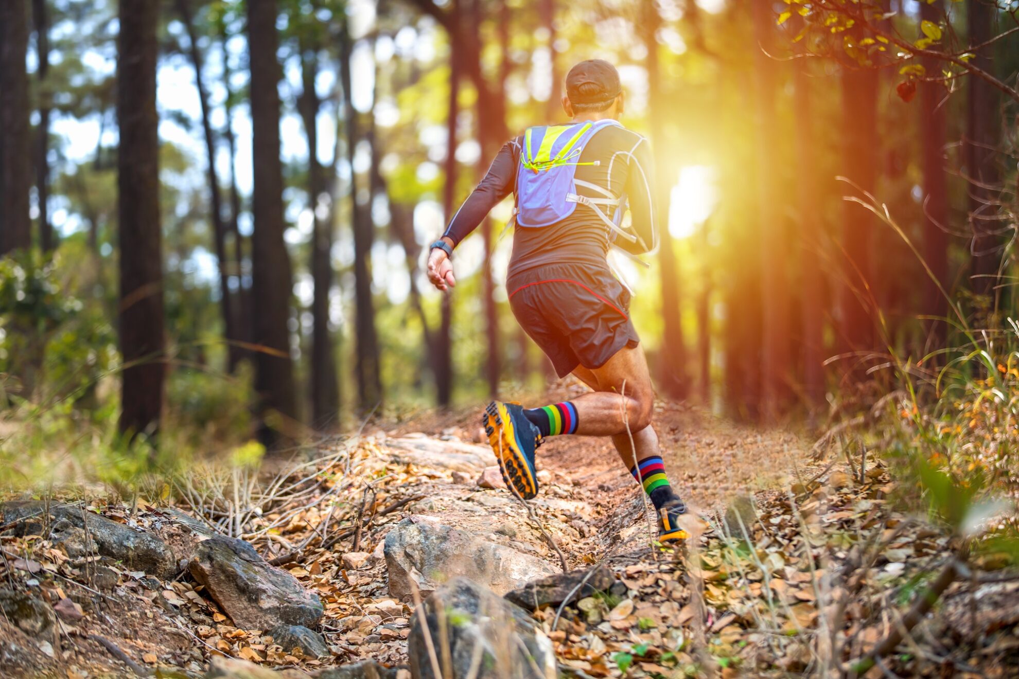 Ultra Run Sport Wald Fitness