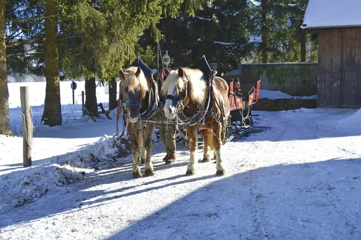 Zwei Pferde ziehen einen Pferdeschlitten im Schnee entlang einer Scheune.