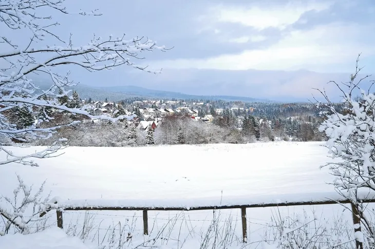 Verschneite Landschaft mit Bäumen und Dörfern im Hintergrund.