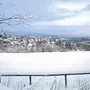 Verschneite Landschaft mit Bäumen und Dörfern im Hintergrund.