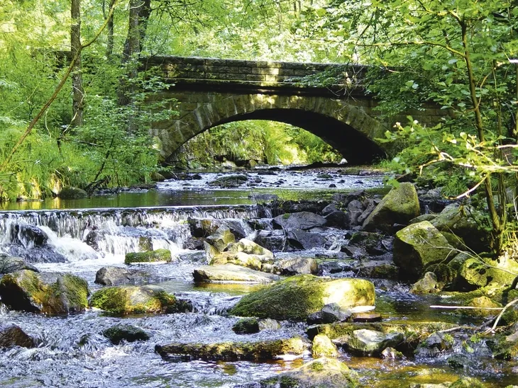 Ein Bach fließt unter einer alten Steinbrücke in einem lichtdurchfluteten, grünen Wald.
