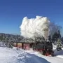 Dampflok fährt durch verschneite Landschaft mit Nadelbäumen unter klarem, blauem Himmel.