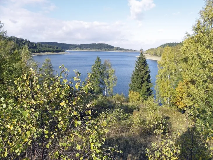 Blick auf einen See im Harz, umgeben von Wäldern unter blauem Himmel.
