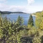 Blick auf einen See im Harz, umgeben von Wäldern unter blauem Himmel.