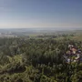 Luftaufnahme einer Waldlandschaft mit einem kleinen Dorf am Waldrand.