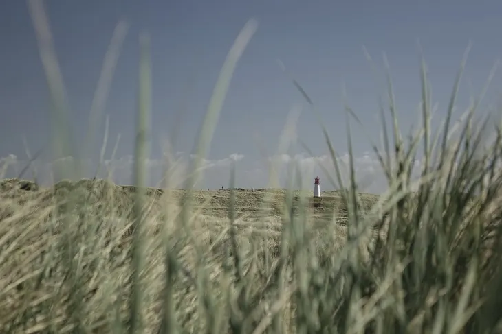 Kleiner Leuchtturm in Dünenlandschaft mit Gras im Vordergrund.