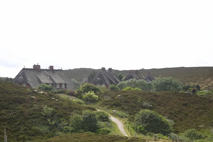 Reetgedeckte Häuser hinter hügeliger Heidelandschaft mit einem Weg und bedecktem Himmel.