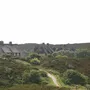 Reetgedeckte Häuser hinter hügeliger Heidelandschaft mit einem Weg und bedecktem Himmel.