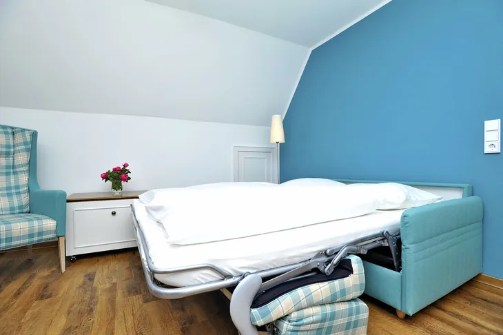 Schlafzimmer mit blauem Sofa, ausklappbarem Bett und einer Vase mit Blumen.