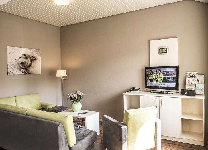 Gemütliches Wohnzimmer mit Sofa, Sessel, Fernseher und Blumenstrauß auf dem Tisch.