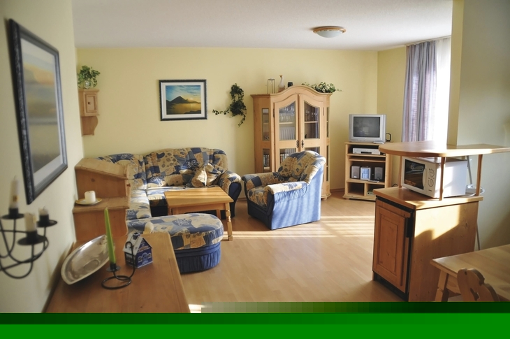 Wohnzimmer mit Sofa, Sessel, TV, Holzmöbeln, Bild an der Wand und Tageslicht.