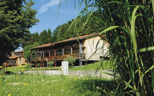 Holzgebäude vor Bäumen und Schilf auf einer Wiese bei Sonnenschein.