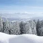 Verschneite Landschaft mit Bergen und Bäumen im Winter.