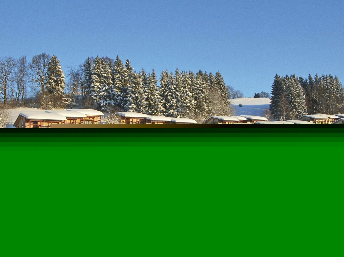 Verschneite Hüttenlandschaft in Scheidegg mit schneebedeckten Bäumen bei klarem Himmel.
