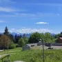 Landschaft mit Wiesen, Bäumen und Bergen im Hintergrund bei klarem Himmel.