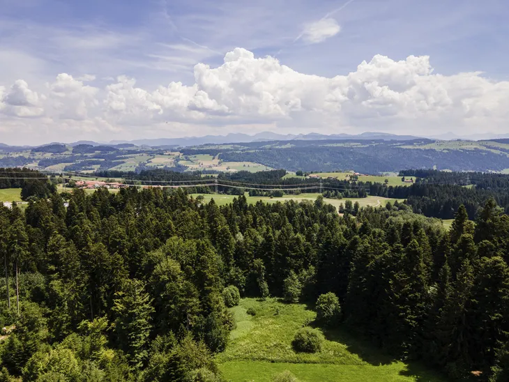 Panoramablick auf Wald und Hügel bei Scheidegg unter blauem Himmel mit Wolken.