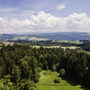 Panoramablick auf Wald und Hügel bei Scheidegg unter blauem Himmel mit Wolken.
