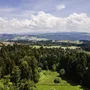 Panoramablick auf Wald und Hügel bei Scheidegg unter blauem Himmel mit Wolken.