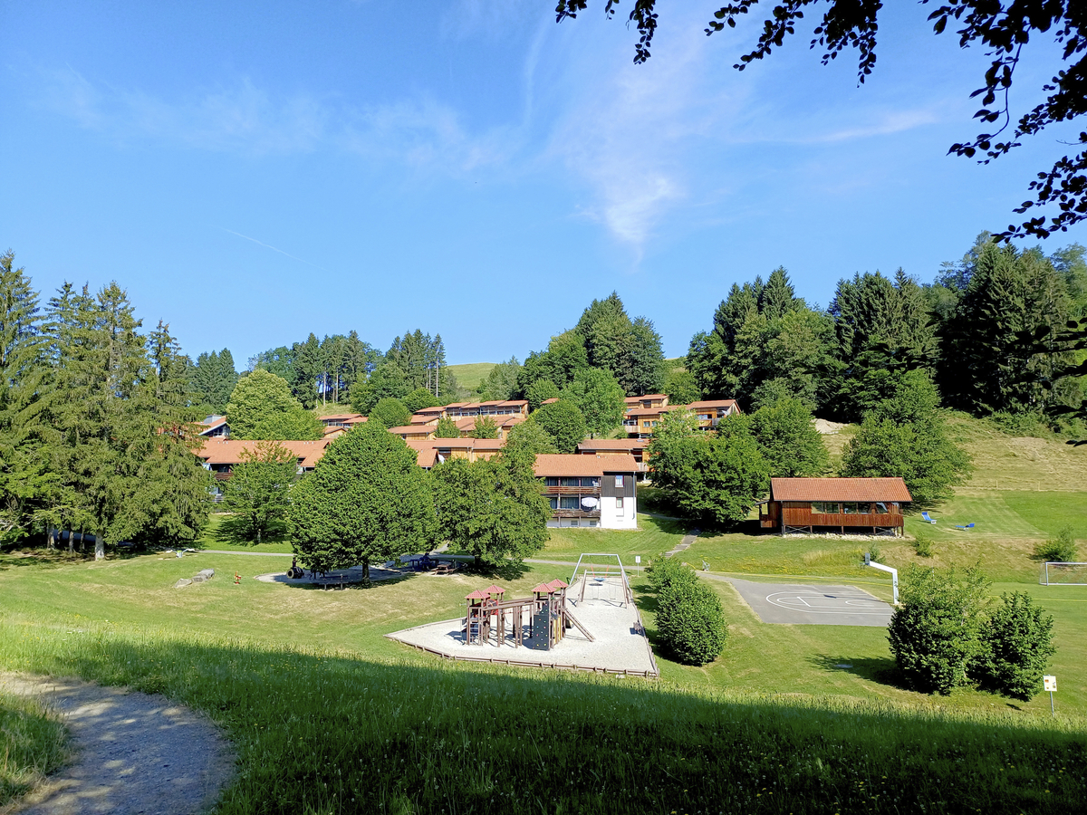 Ferienhäuser auf einem Hügel, umgeben von Bäumen und einer Wiese.