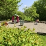 Kleiner Spielplatz mit Wipptieren und Häuschen sowie einer Parkbank umgeben von Bäumen bei sonnigem Wetter in der Ferienanlage Lindau.