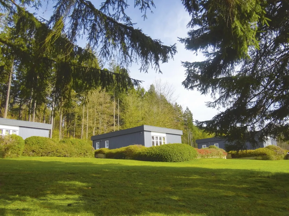 Bungalows der Ferienanlage Prüm auf einer grünen Wiese, umgeben von Bäumen.