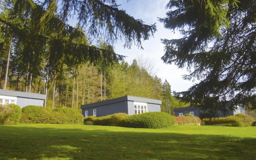 Bungalows der Ferienanlage Prüm auf einer grünen Wiese, umgeben von Bäumen.