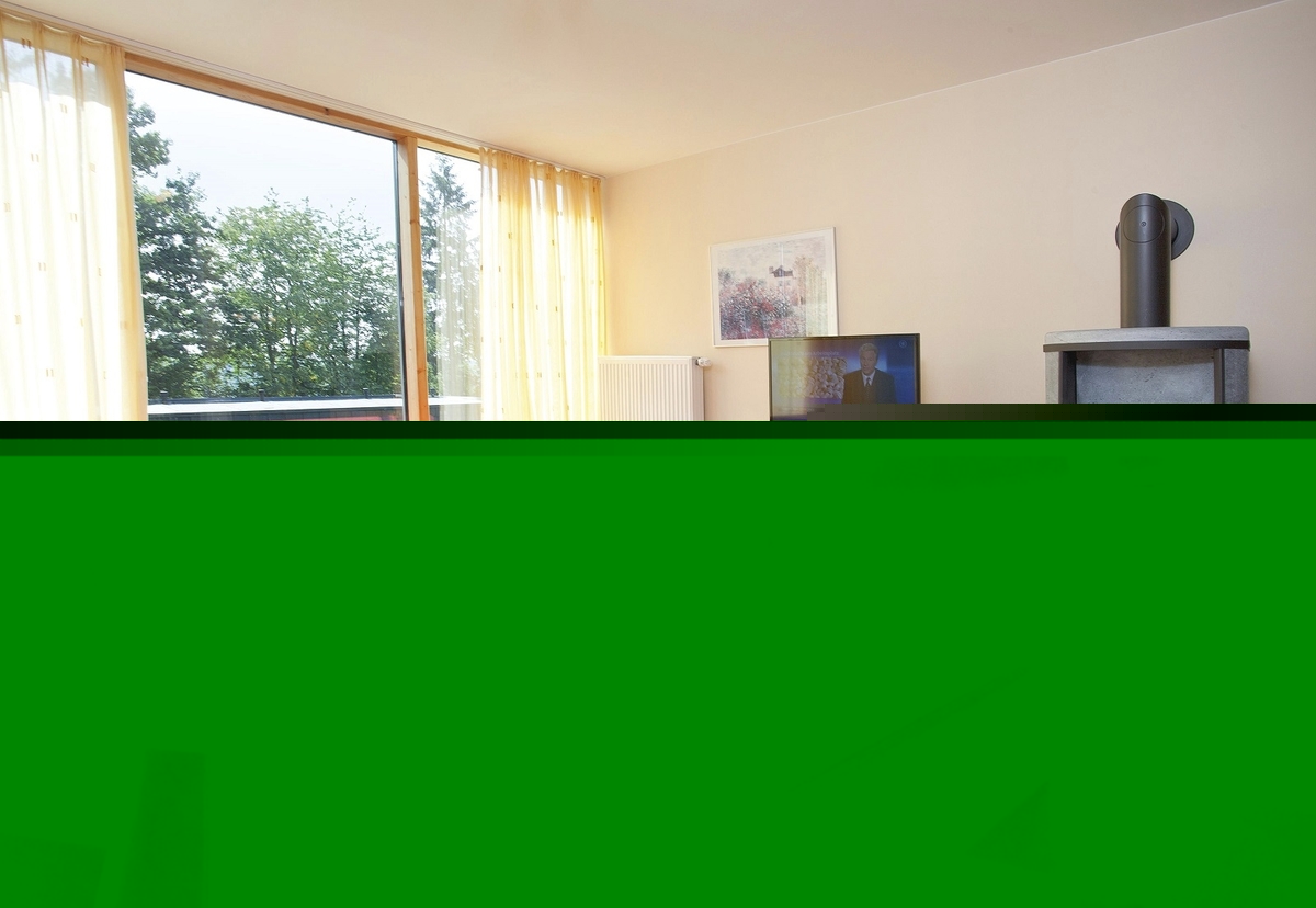 Wohnzimmer in der Ferienanlage Prüm, mit rotem Sofa und Sessel, kleiner Tisch, Holzofen, Fernseher und Blick auf Bäume durch große Fenster.