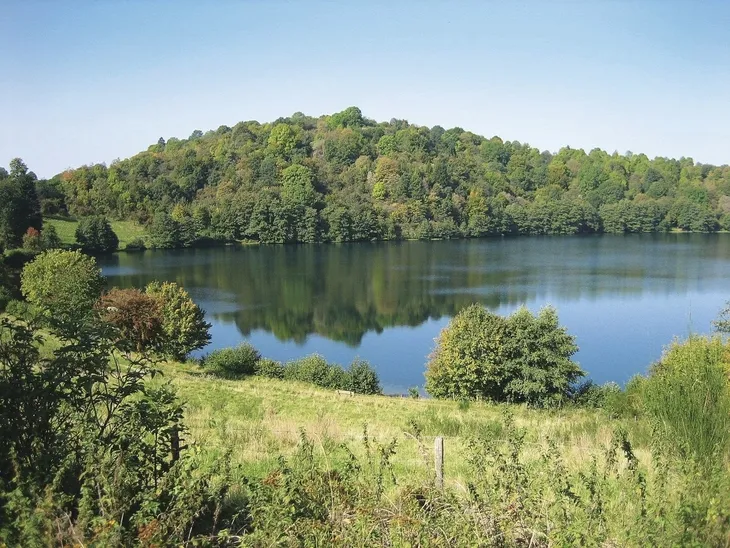 Blick auf einen See mit bewaldetem Hügel im Hintergrund.