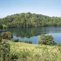 Blick auf einen See mit bewaldetem Hügel im Hintergrund.