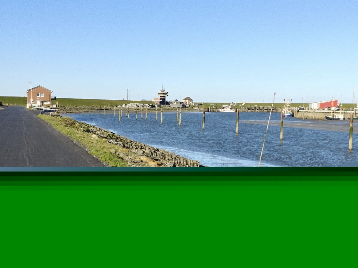 Kleiner Hafen mit ein paar Booten in Büsum getrennt durch Grünstreifen mit Steinen von Straße, Fahrradlenker im Vordergrund bei klarem Himmel.