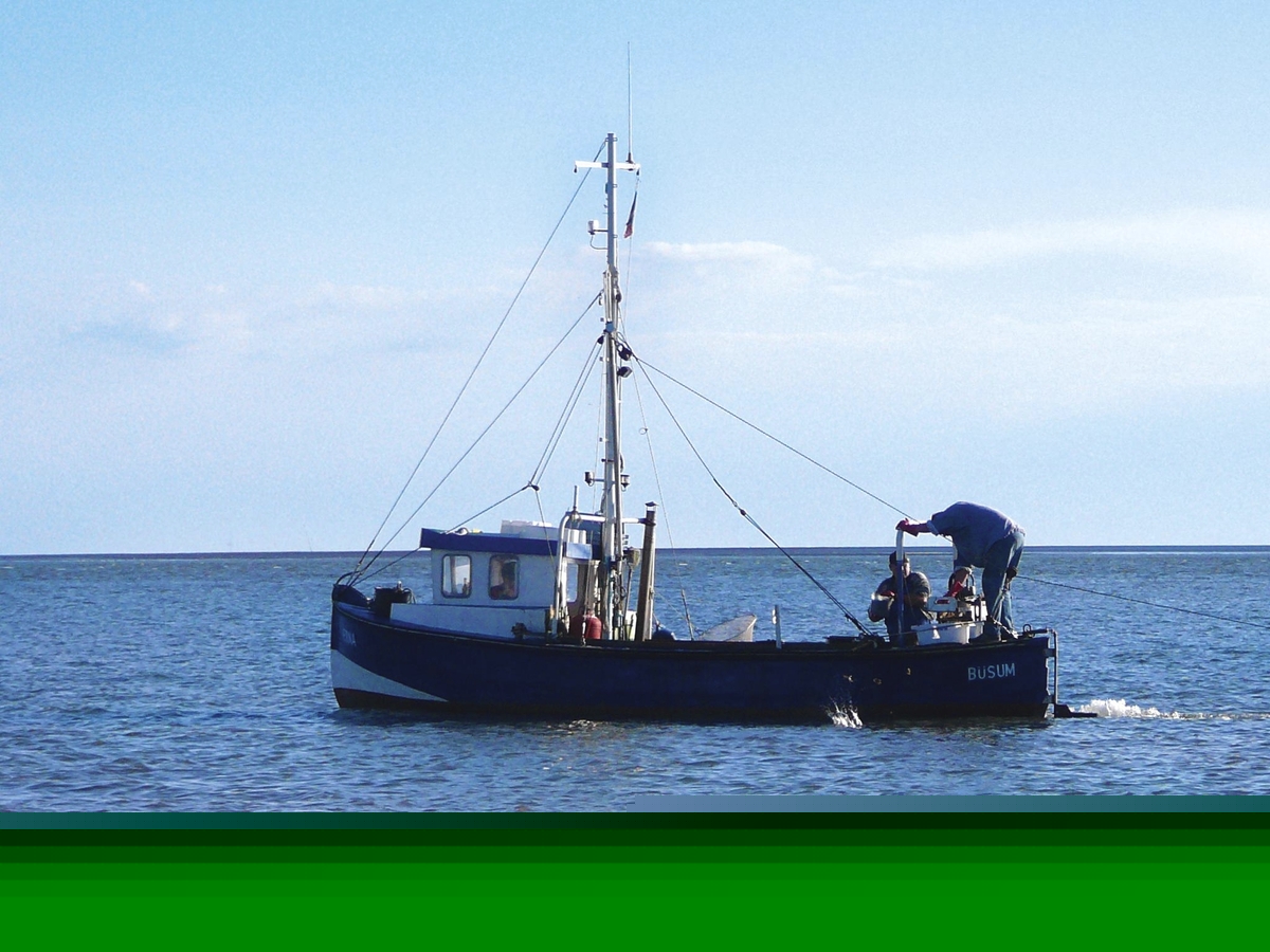 Fischerboot auf dem Meer bei Büsum unter blauem Himmel.