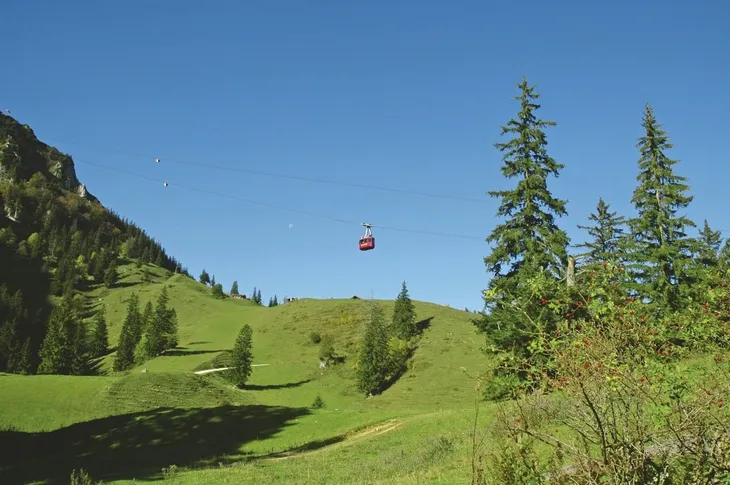 Eine rote Seilbahn über grüner Almlandschaft mit Bäumen und blauem Himmel.
