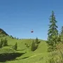Eine rote Seilbahn über grüner Almlandschaft mit Bäumen und blauem Himmel.