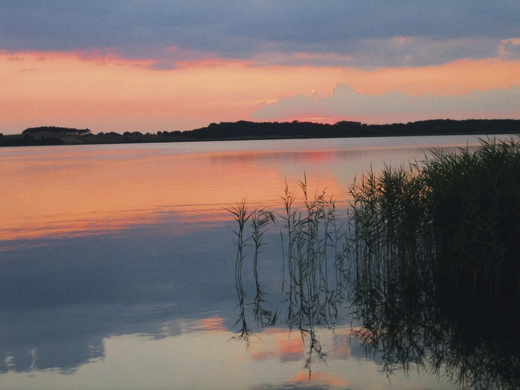 Sonnenuntergang am See mit Schilf im Vordergrund und bewölktem Himmel.