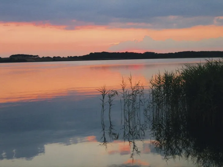 Sonnenuntergang am See mit Schilf im Vordergrund und bewölktem Himmel.