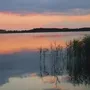 Sonnenuntergang am See mit Schilf im Vordergrund und bewölktem Himmel.