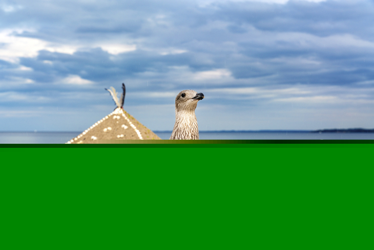 Zwei Möwen am Strand von Timmendorf mit muschelbelegter Pyramide aus Sand und wolkigem Himmel.