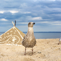 Zwei Möwen am Strand von Timmendorf mit muschelbelegter Pyramide aus Sand und wolkigem Himmel.