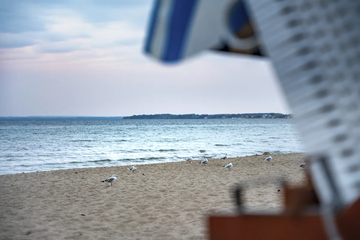 Rechts im Bild ein Teil von einem Strandkorb sowie ein Küstenstreifen der ins Meer ragt. Sandstrand mit Möven, dahinter das Meer bei leichter Dämmerung. 