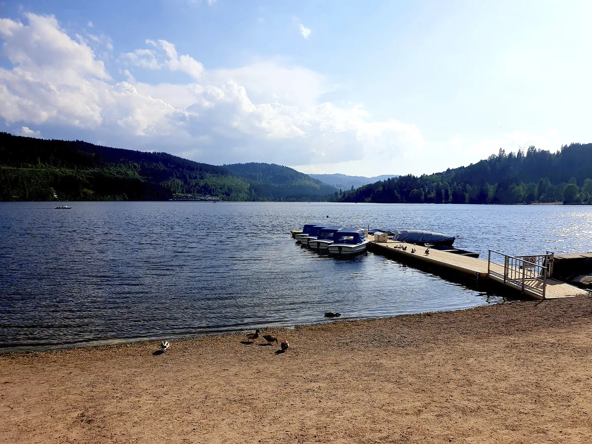 Seeufer mit Enten und Steg am Titisee unter bewölktem Himmel.