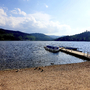 Seeufer mit Enten und Steg am Titisee unter bewölktem Himmel.