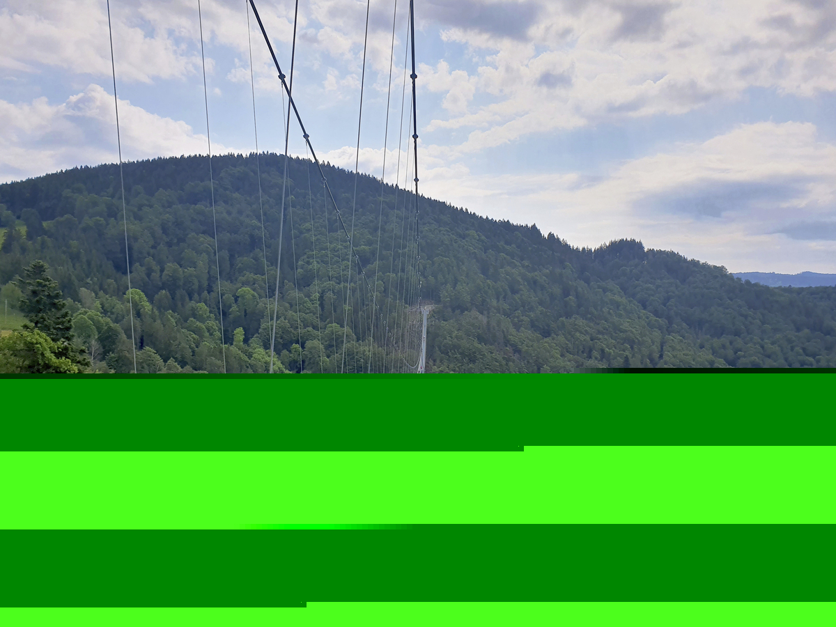 Hängebrücke über bewaldetes Tal im Schwarzwald, mit bewölktem Himmel im Hintergrund.