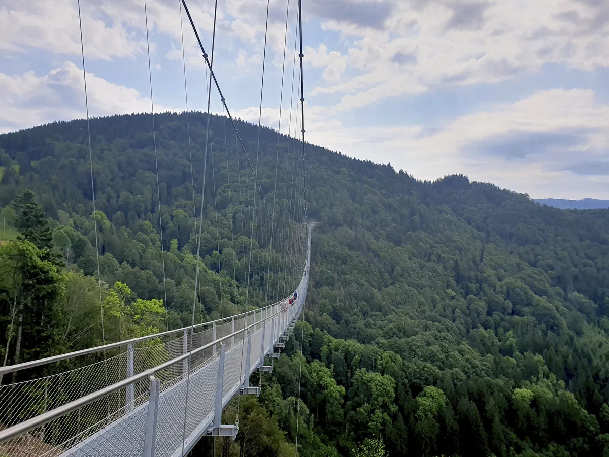 Hängebrücke über bewaldetes Tal im Schwarzwald, mit bewölktem Himmel im Hintergrund.