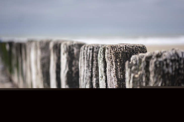 Holzpfähle in einer Reihe am Strand, im Hintergrund verschwommener Himmel.