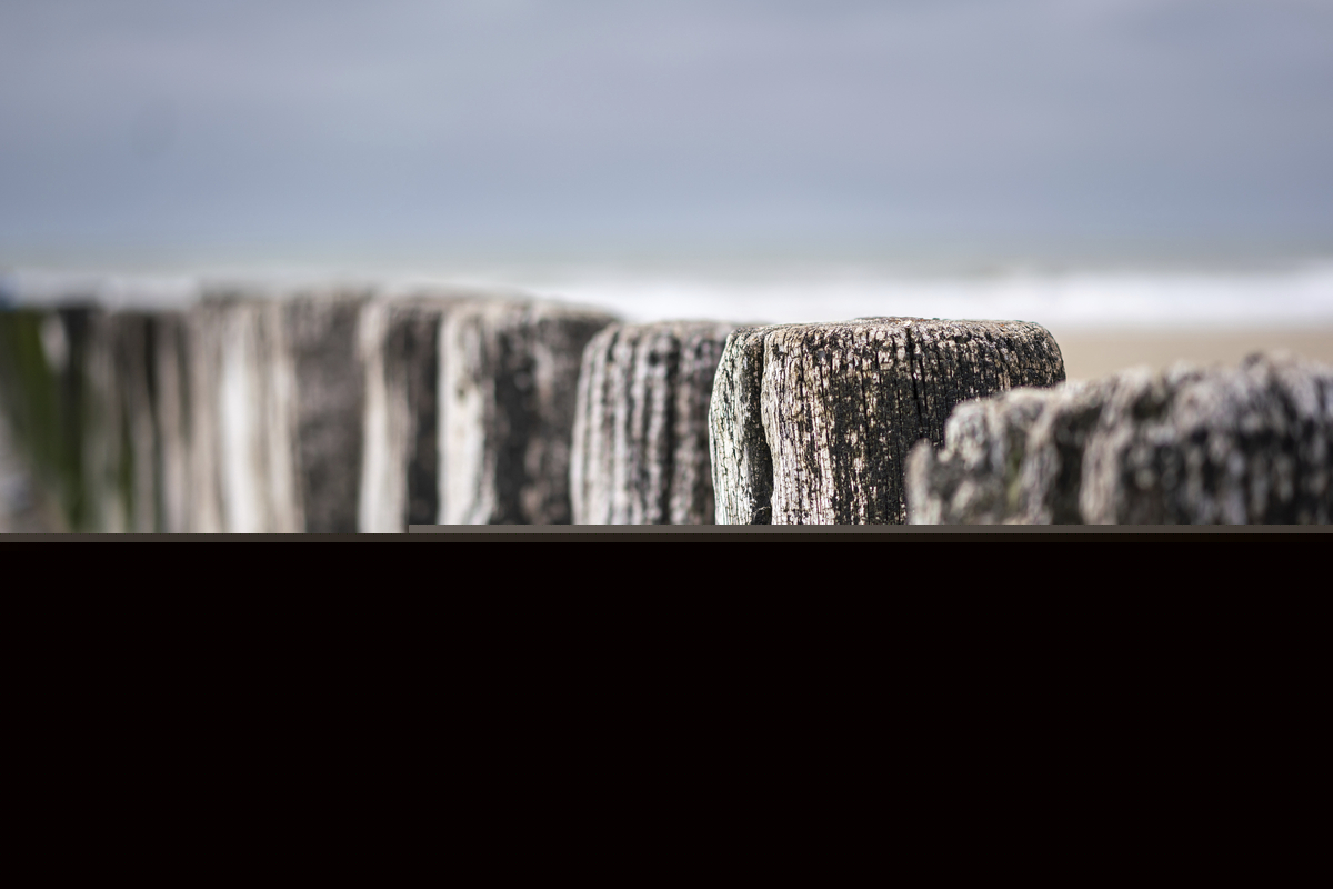Holzpfähle in einer Reihe am Strand, im Hintergrund verschwommener Himmel.