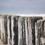 Holzpfähle in einer Reihe am Strand, im Hintergrund verschwommener Himmel.