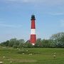 Roter und weißer Leuchtturm im Grünen mit Schafen im Vordergrund.