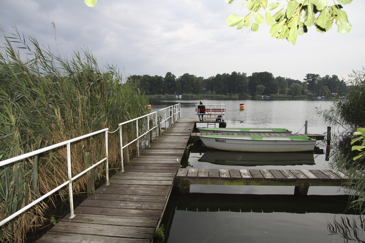 Steg am See mit Booten und Schilf, bewölkter Himmel im Hintergrund.